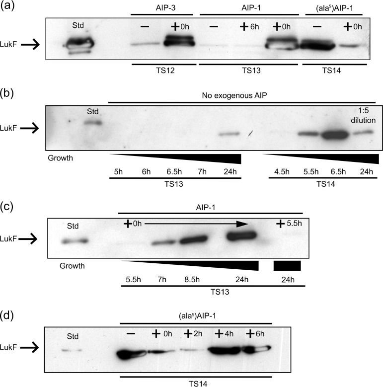 FIG 3