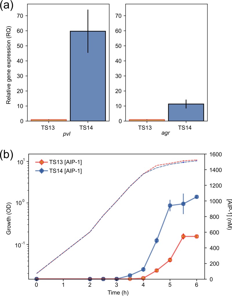 FIG 2