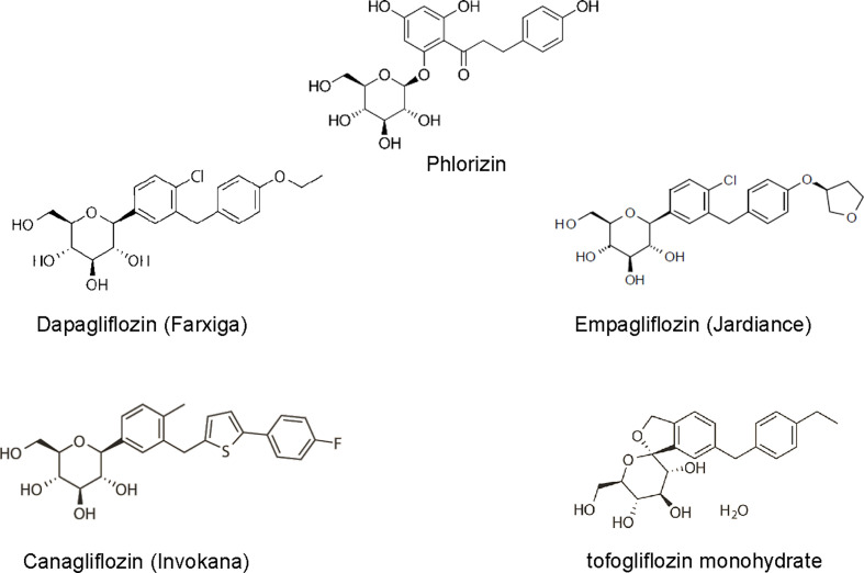 Figure 1