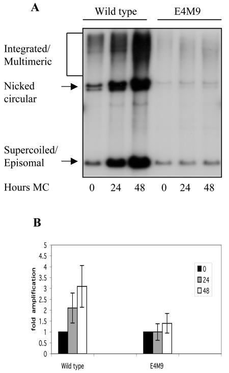 FIG. 4.