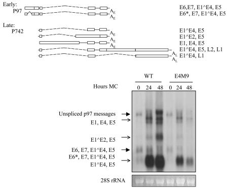 FIG. 6.