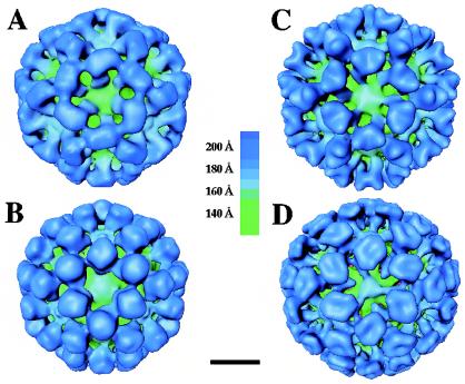 FIG. 2.