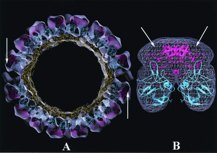 FIG. 7.