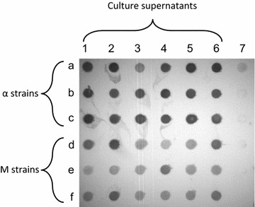 Fig. 2