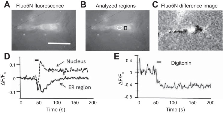 Fig. 6.