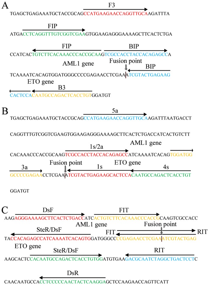 Figure 2.