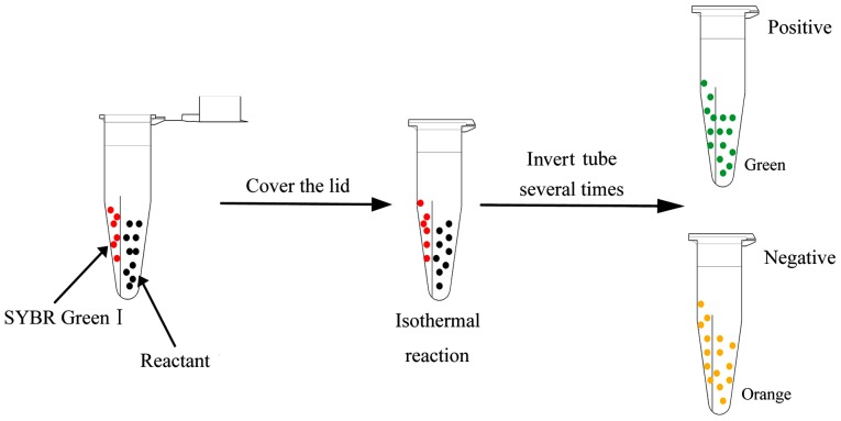 Figure 3.