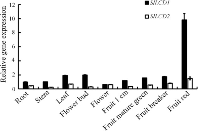 Fig. 1