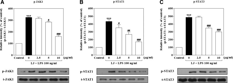 FIG. 5.