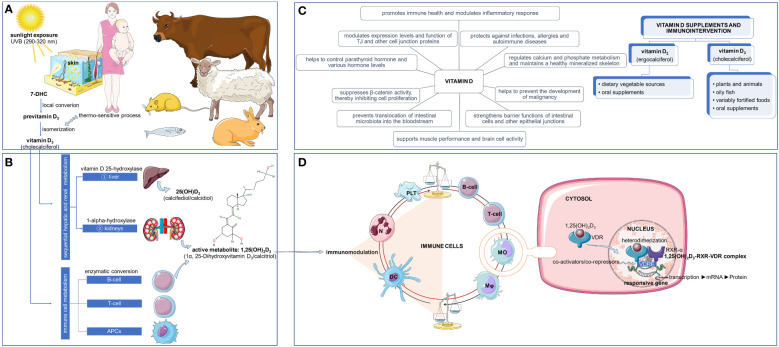 Figure 1