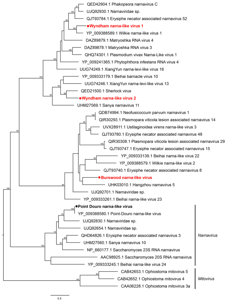 Figure 6