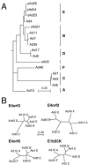 FIG. 8.