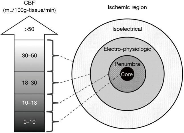 Figure S1