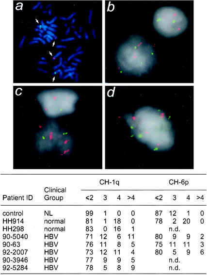 FIG. 8.