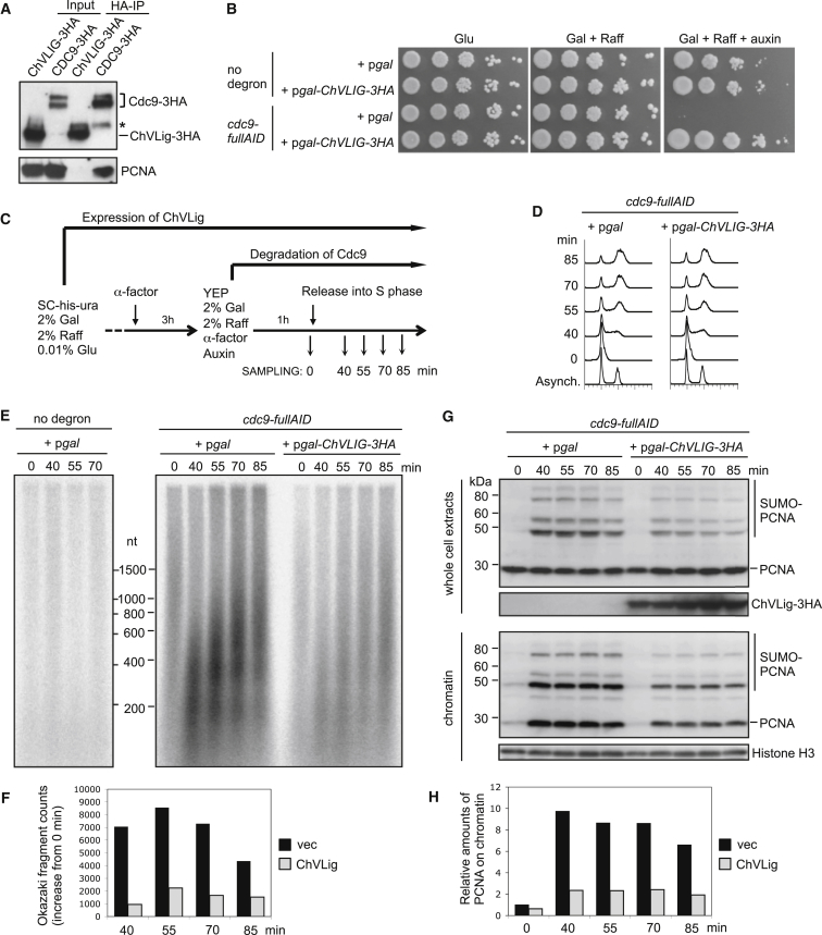 Figure 6