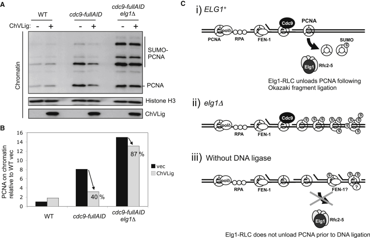 Figure 7