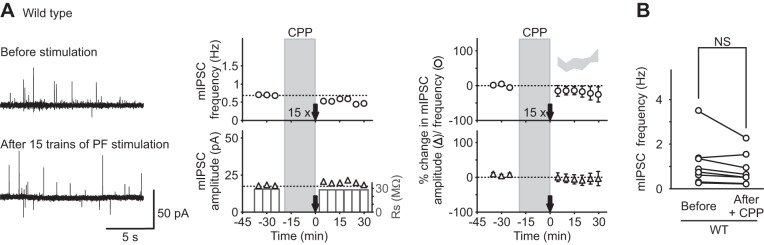 Fig. 9.