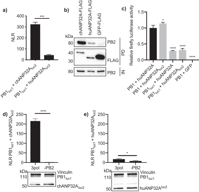 FIG 2