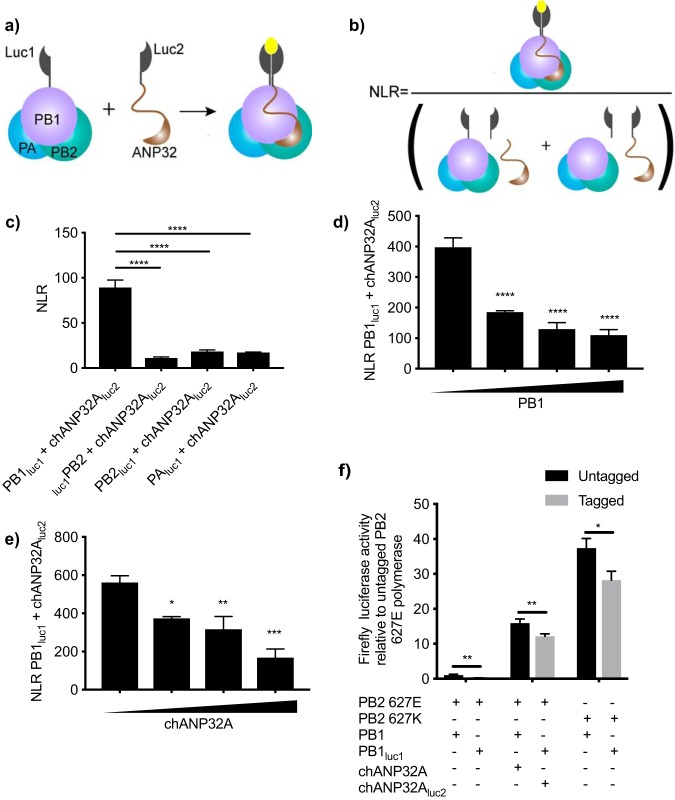 FIG 1