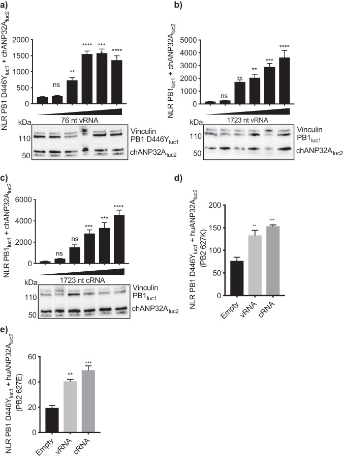 FIG 6