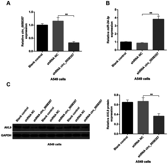 Figure 10.