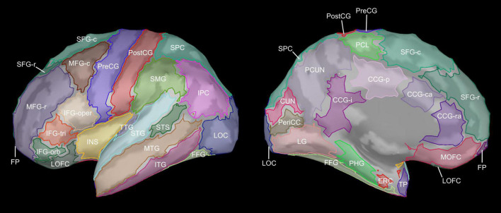 FIGURE 1