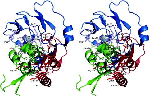 Fig. 2.