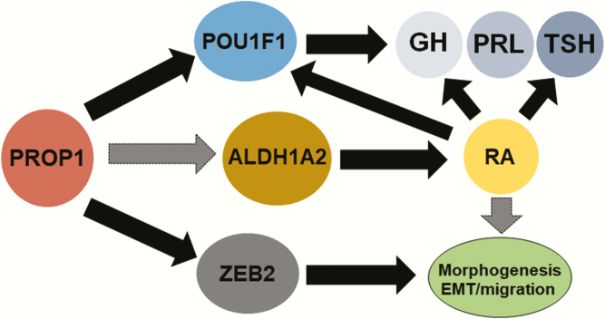 Figure 6.