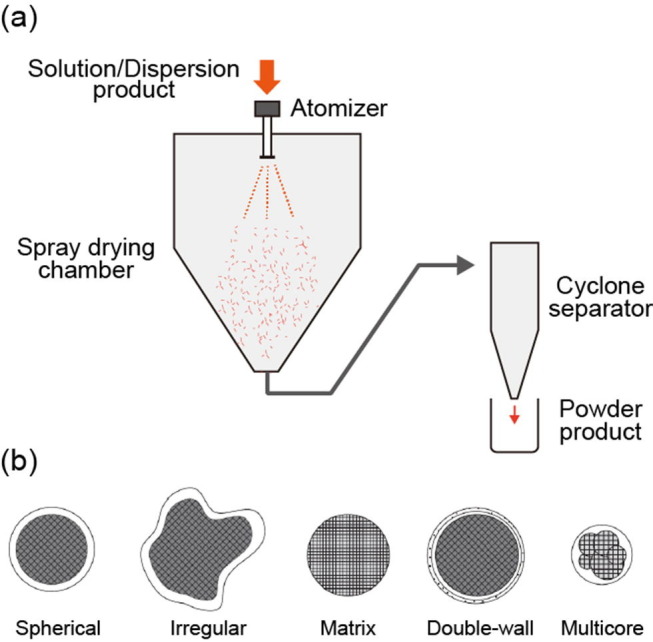 Fig. 22