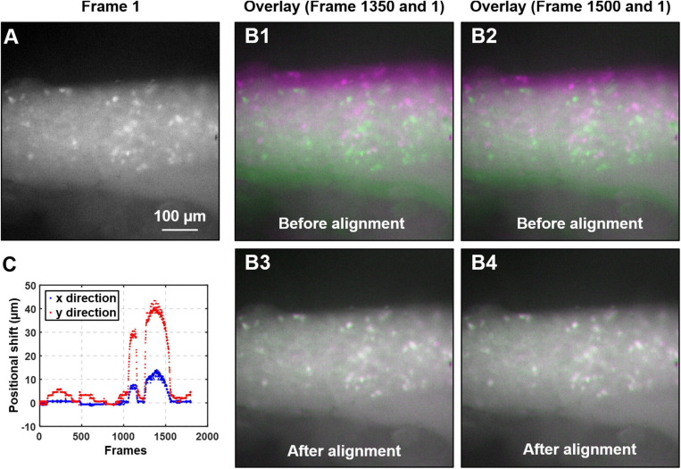 FIGURE 3