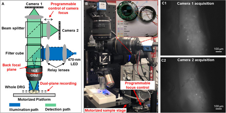 FIGURE 1