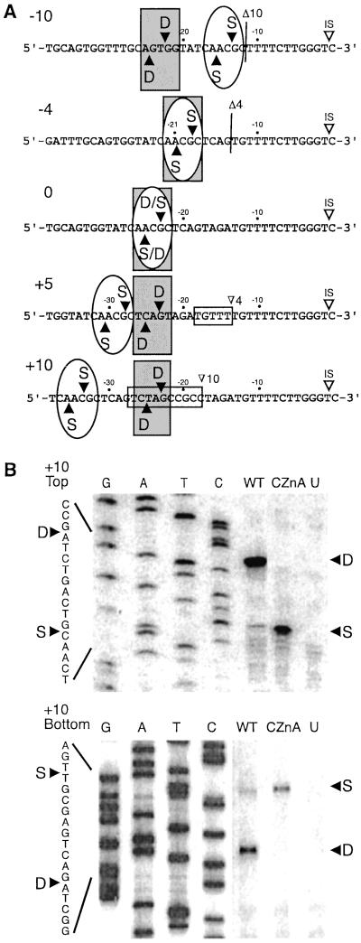 Figure 5