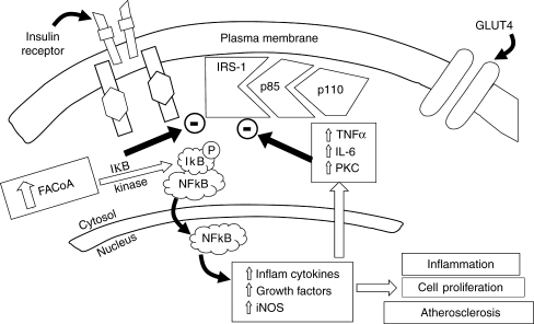 Fig. 6