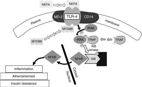 Fig. 7