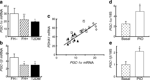 Fig. 10