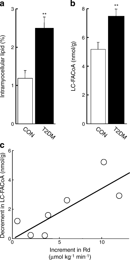 Fig. 5