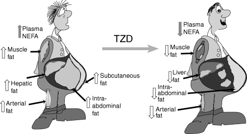 Fig. 8