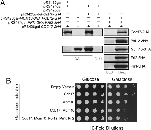 Figure 9.