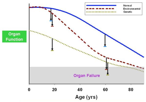 Fig. (3)