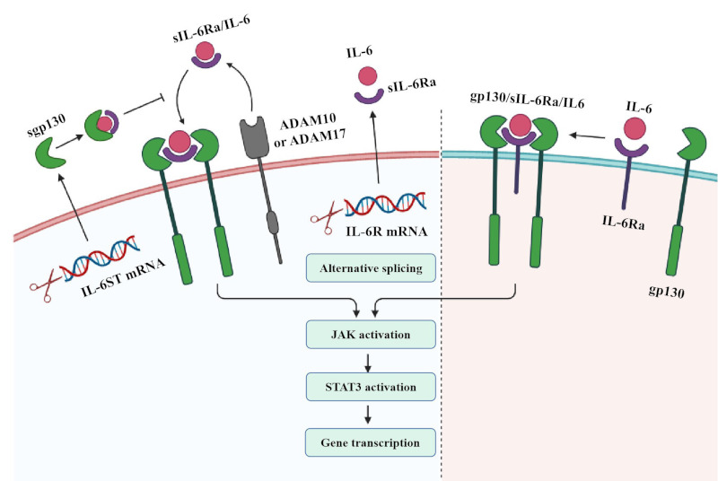 Figure 2.