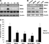 <b>FIG. 2.</b>