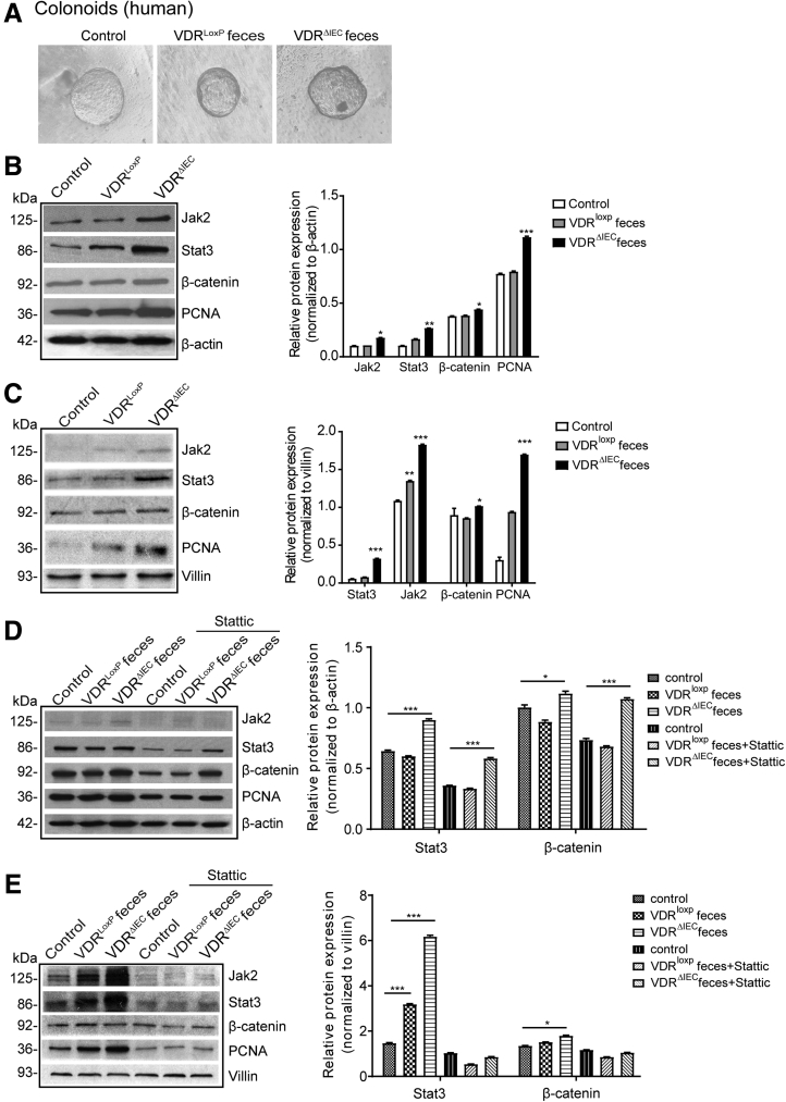 Figure 6