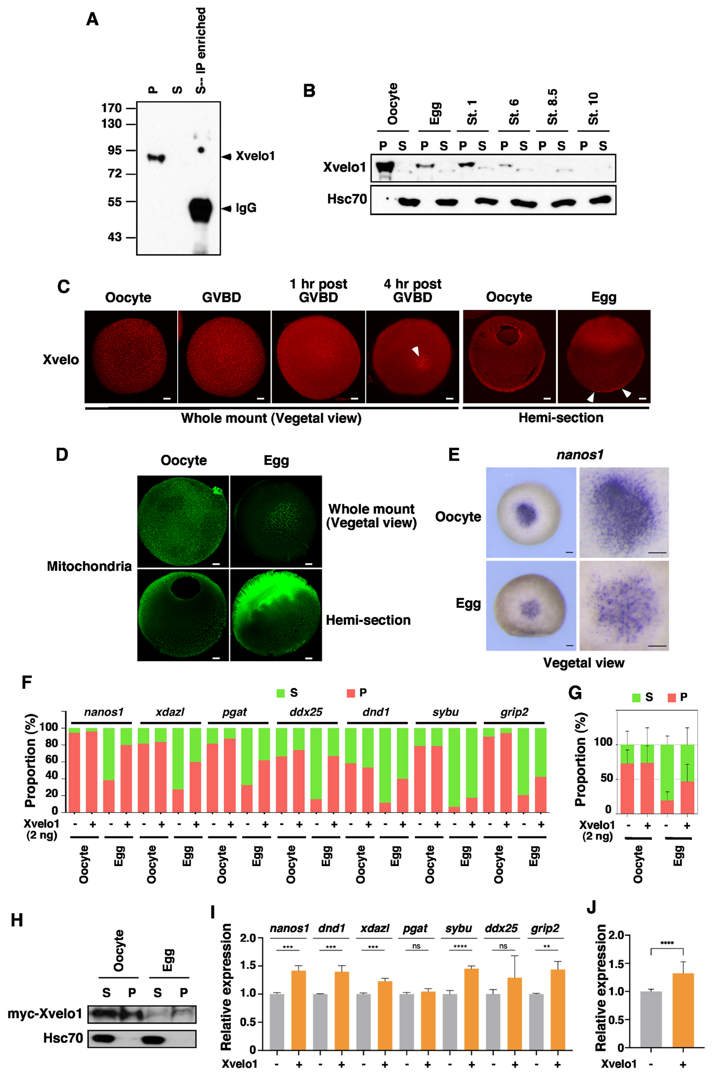 Fig 4.