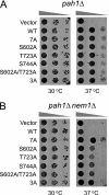 FIGURE 7.