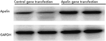 Fig. 2