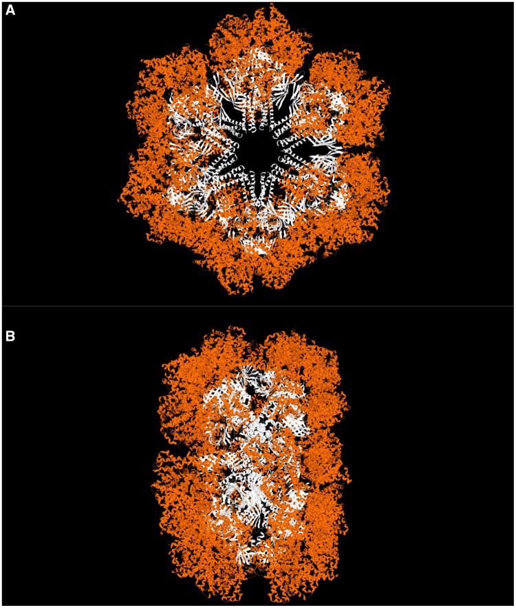 Fig. 1.