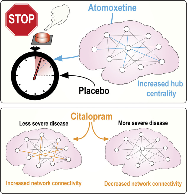 Graphical Abstract