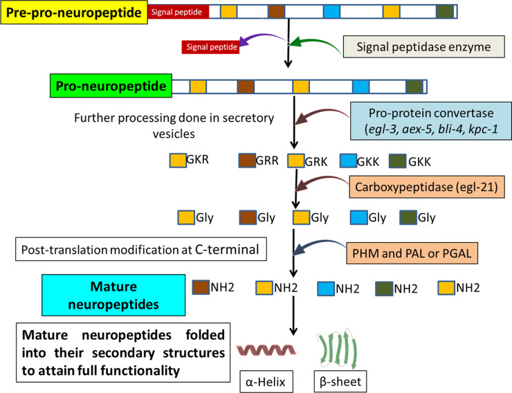 Figure 2.