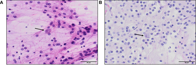 Figure 2