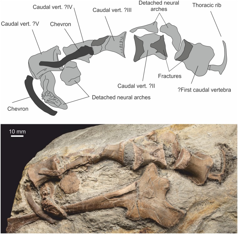 Fig 16